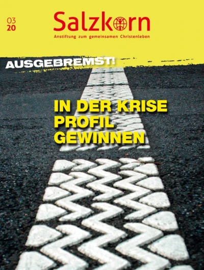 Titelseite des Salzkorns 3/2020: Ausgebremst!